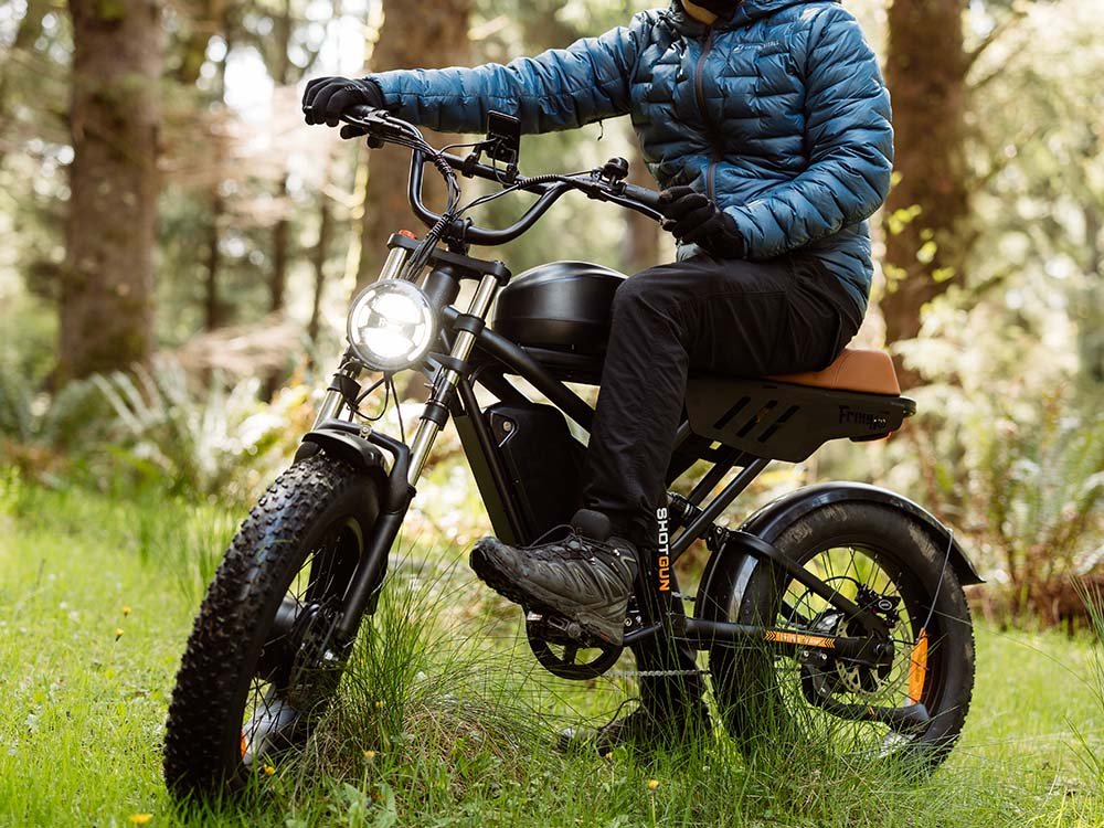 Freego USA Flash F3 Pro Max Dual Motor Electric Bike