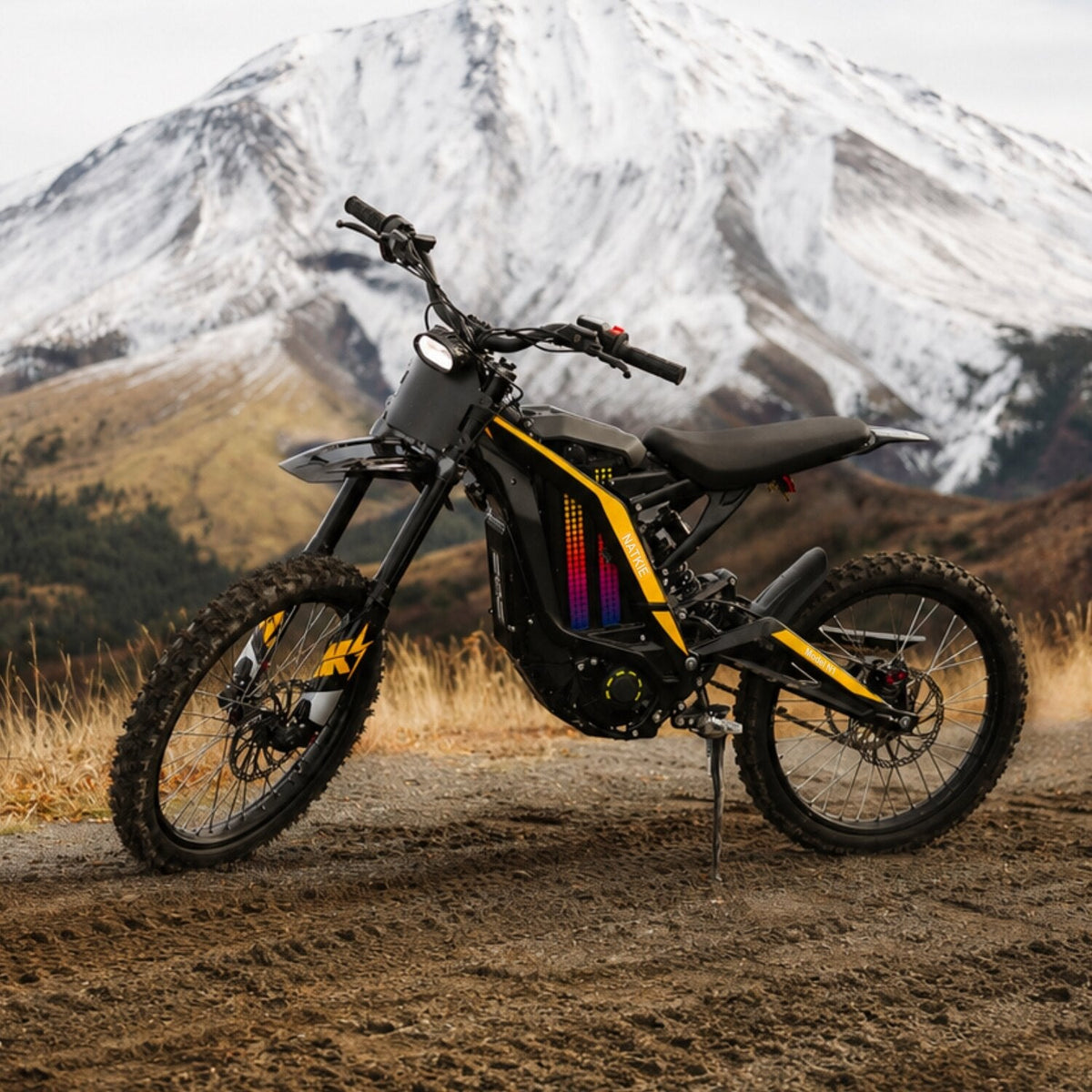 Freego USA Natkie N1 All-Terrain Electric Motorcycle