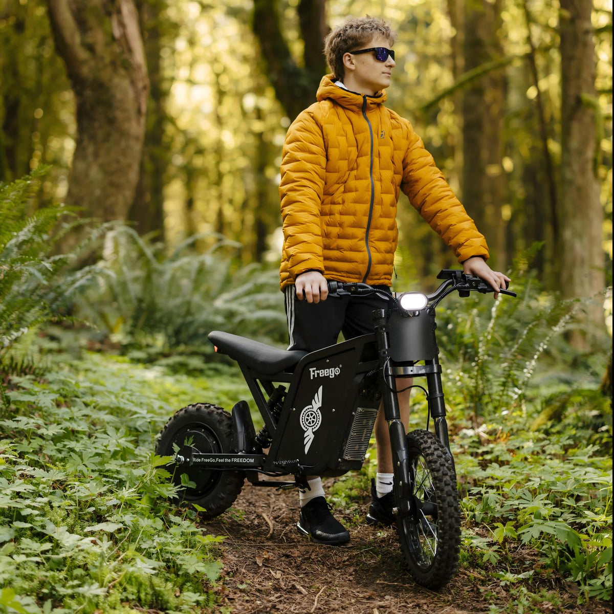 Freego USA X0 All-Terrain Electric Mini Bike