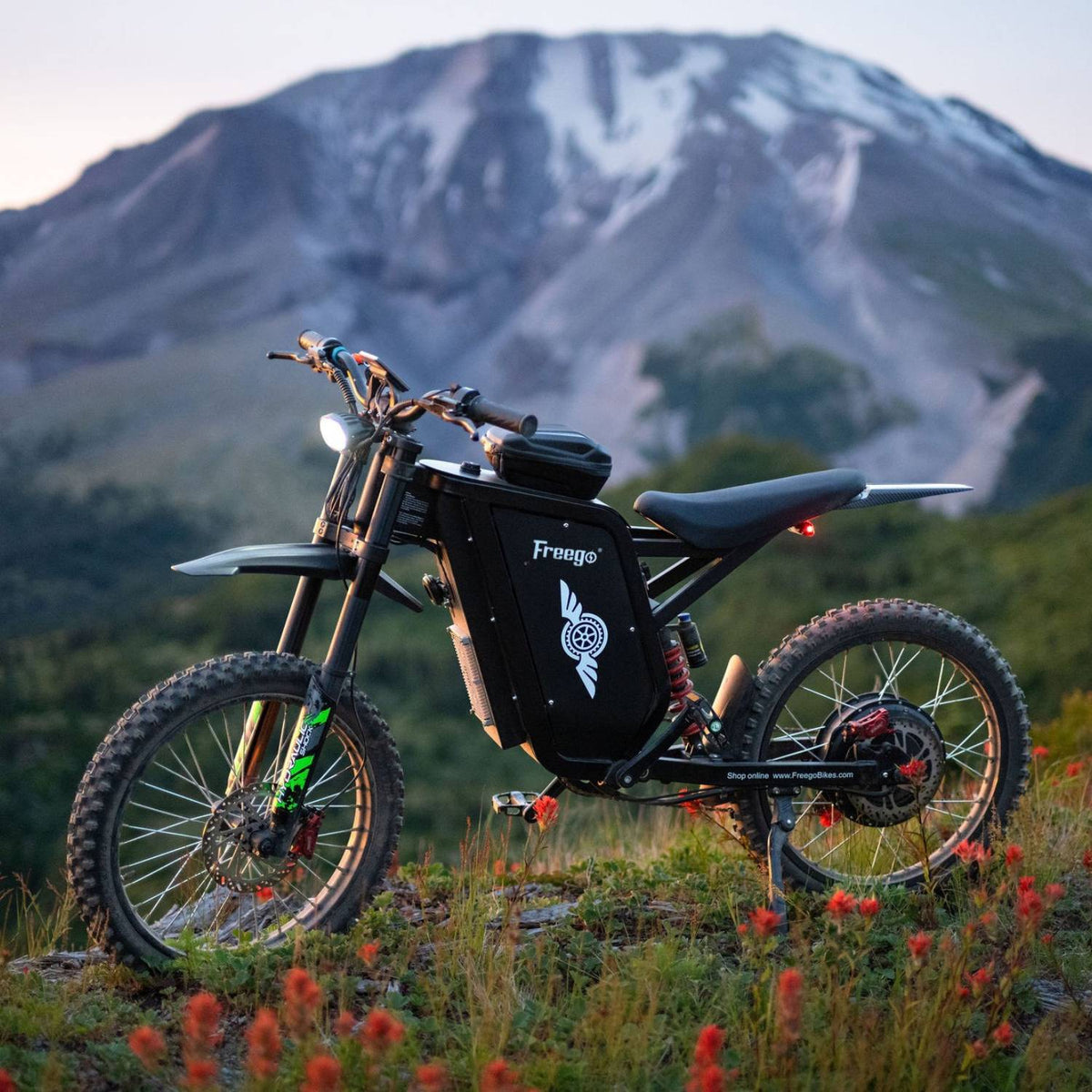 Freego USA All-Terrain Electric Dirt Bike with Pedals
