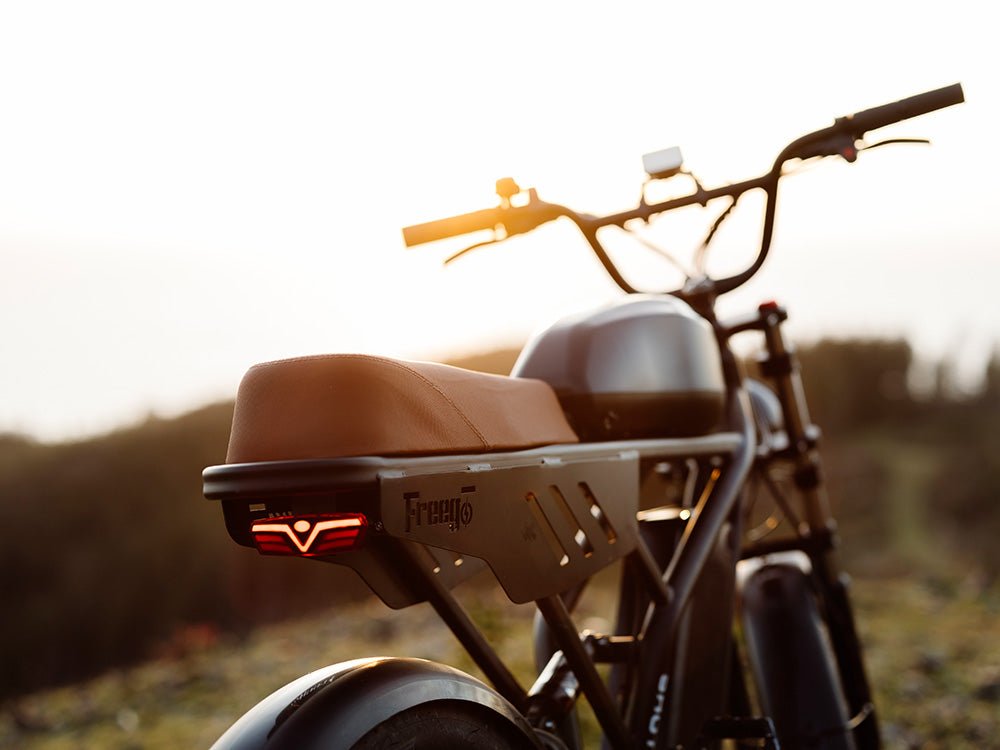 Freego USA Flash F3 Pro Max Dual Motor Electric Bike