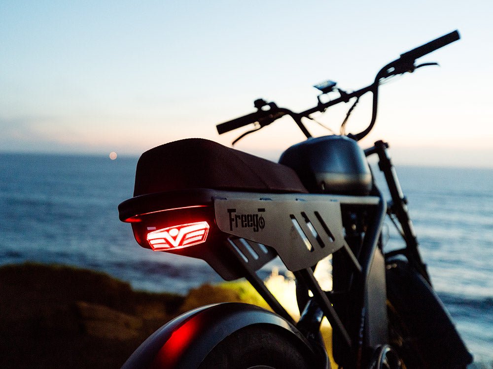 Freego USA Flash F3 Pro Max Dual Motor Electric Bike