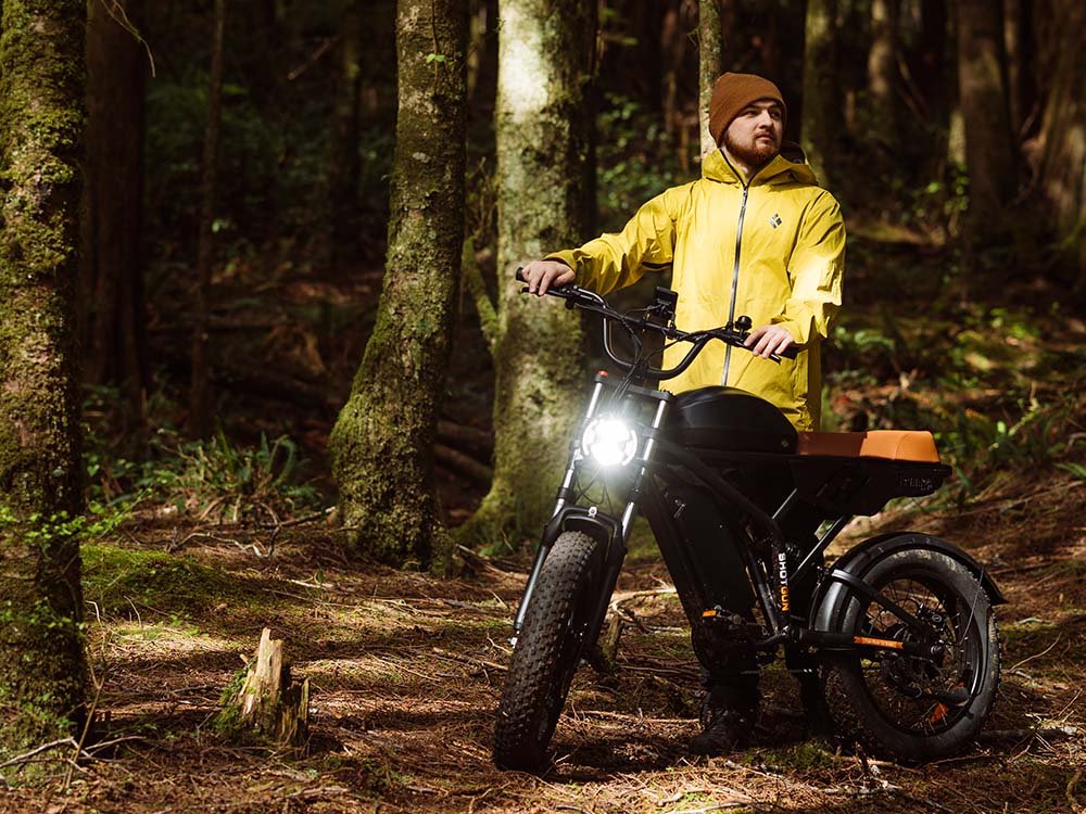 Freego USA Flash F3 Pro Max Dual Motor Electric Bike