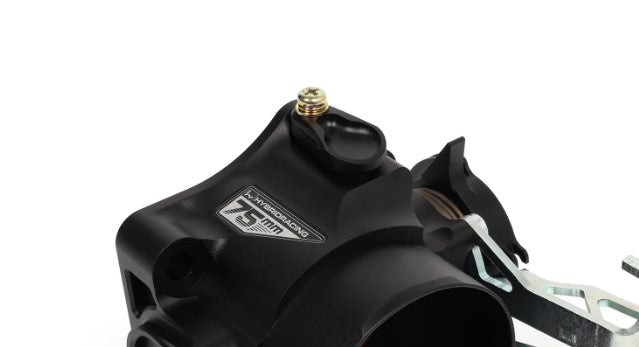 Hybrid Racing MAP Sensor Port Plug