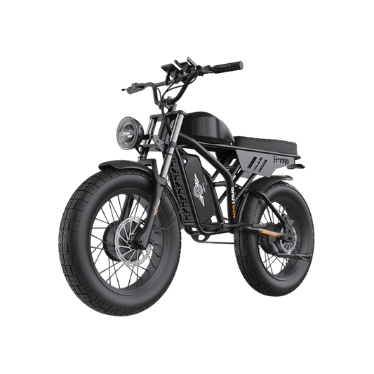Freego USA Flash F3 Pro Max Dual Motor Electric Bike