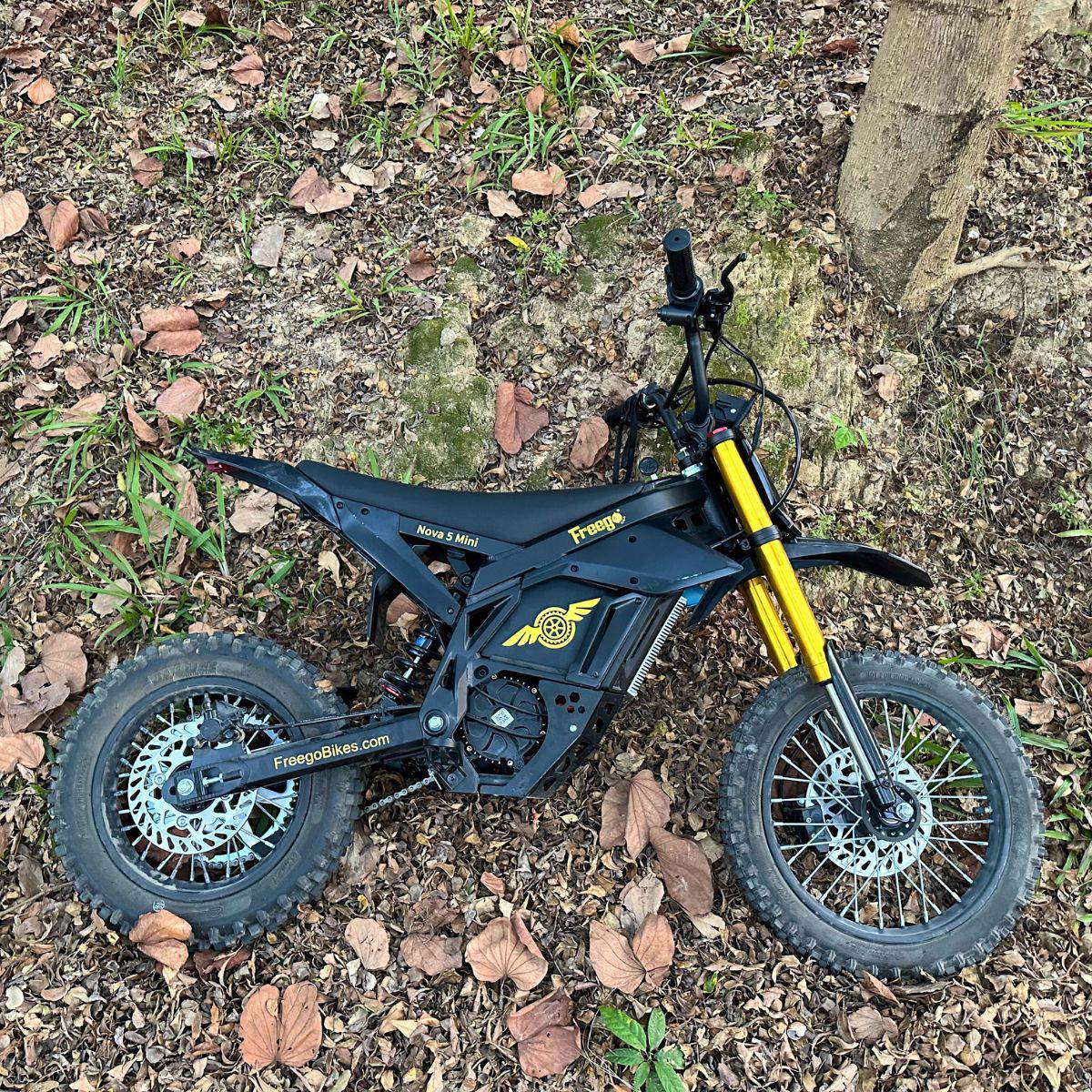 Freego Nova 5 Mini Electric Bike