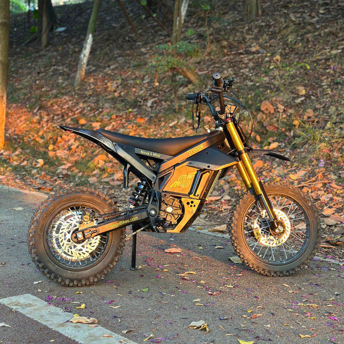 Freego Nova 5 Mini Electric Bike