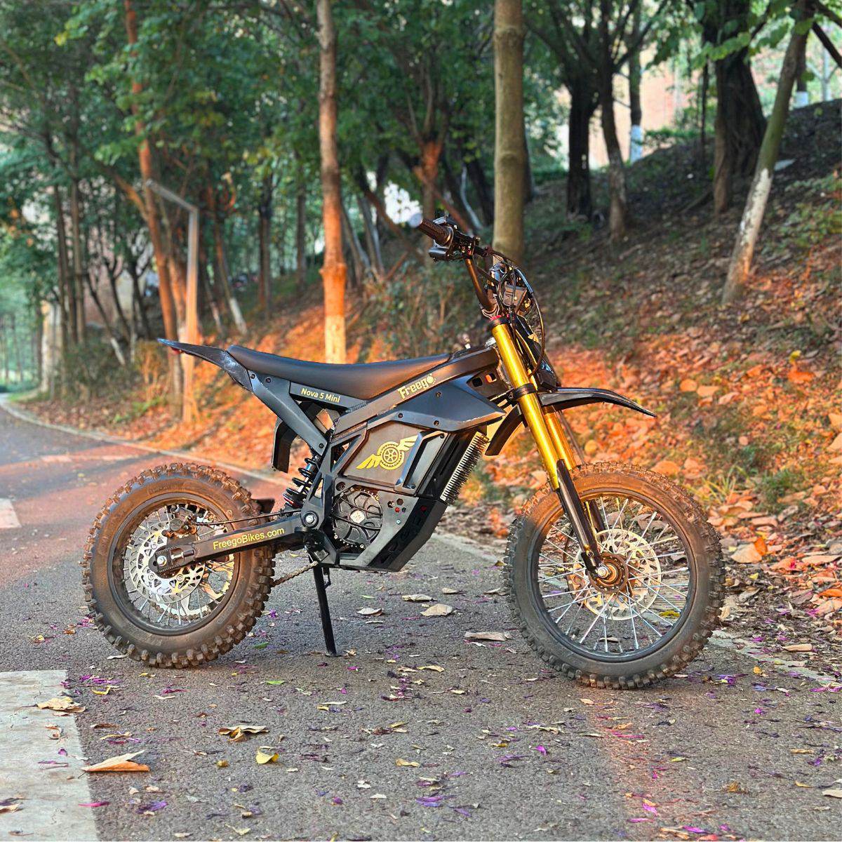 Freego Nova 5 Mini Electric Bike