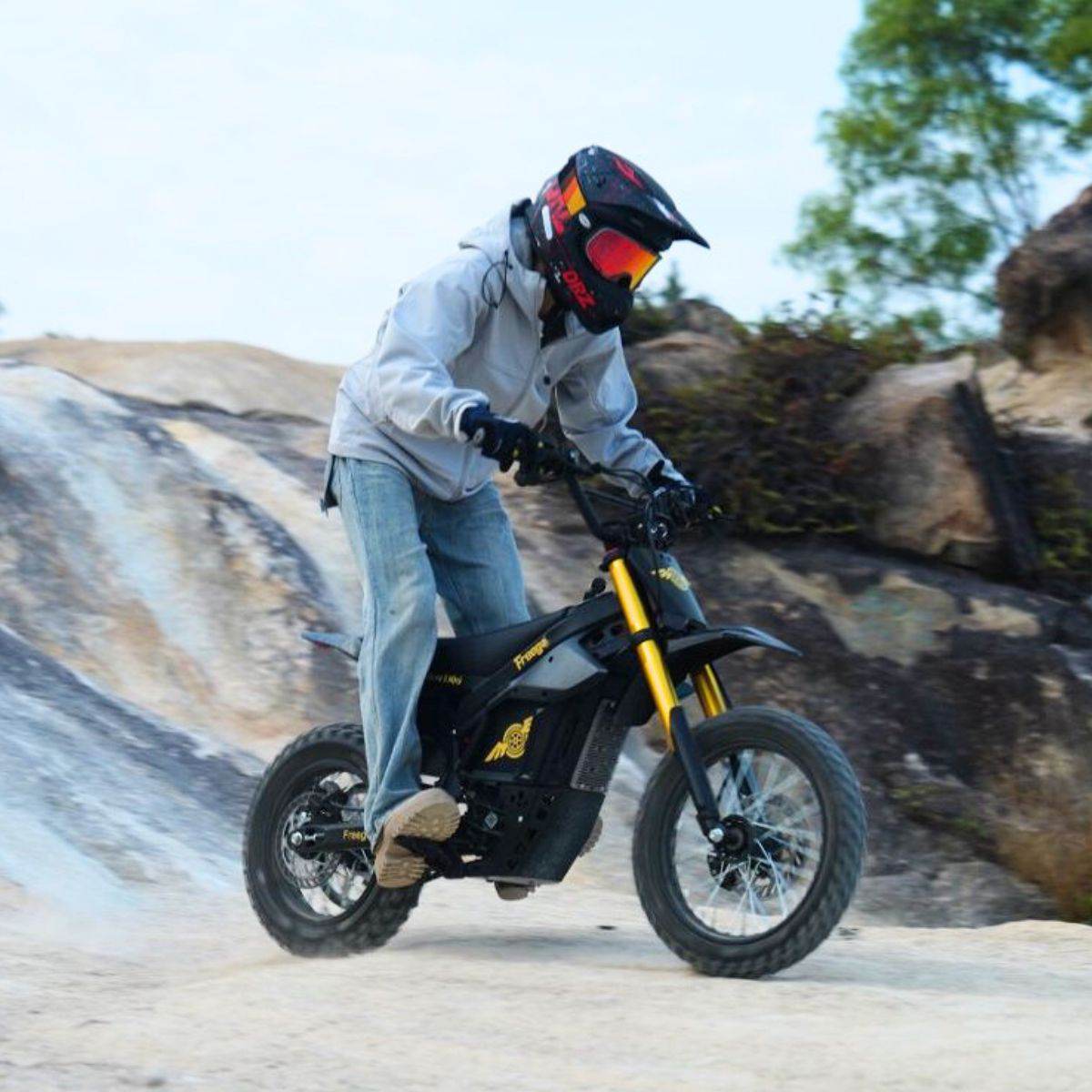 Freego Nova 5 Mini Electric Bike