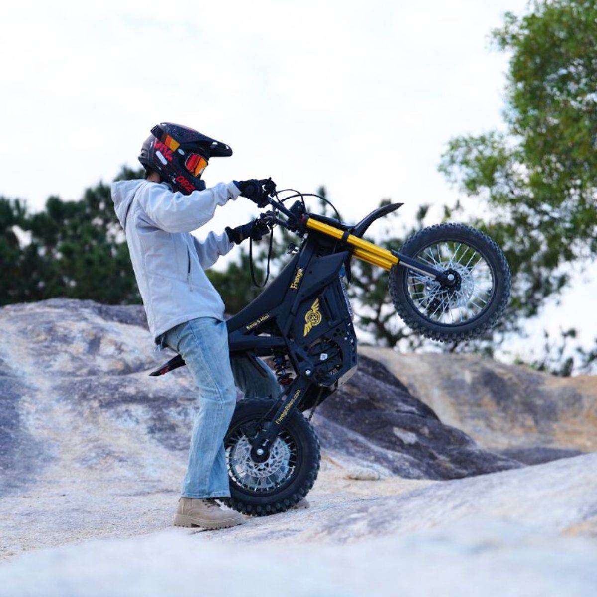 Freego Nova 5 Mini Electric Bike