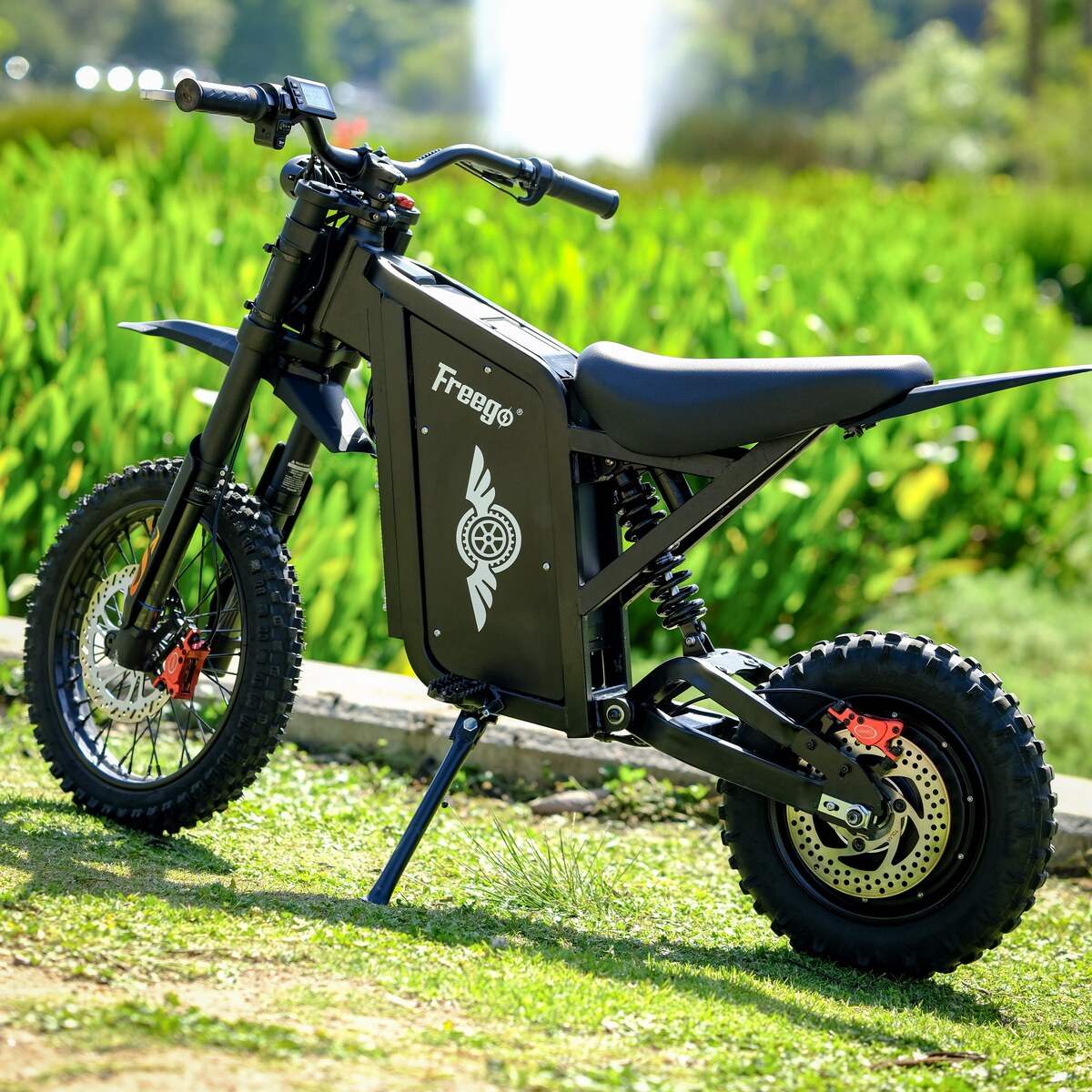 Freego USA X0 All-Terrain Electric Mini Bike