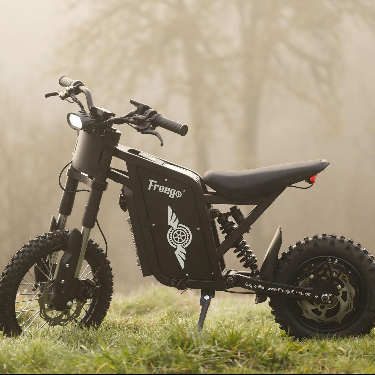 Freego USA X0 All-Terrain Electric Mini Bike