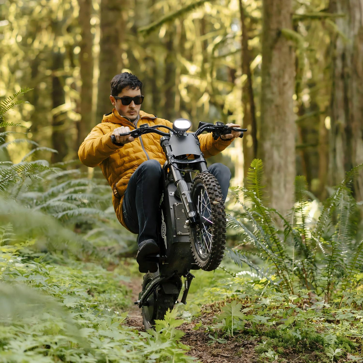 Freego USA X0 All-Terrain Electric Mini Bike