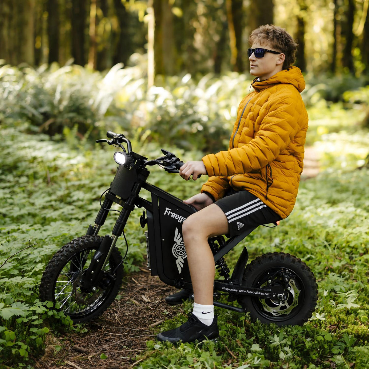 Freego USA X0 All-Terrain Electric Mini Bike