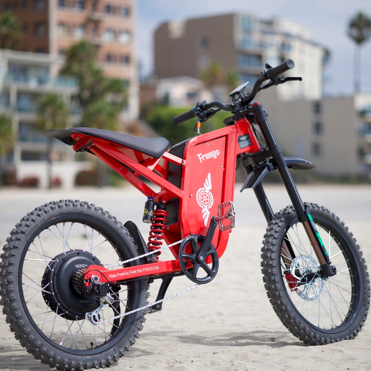 Freego USA X2 Pro All-Terrain Dirt eBike