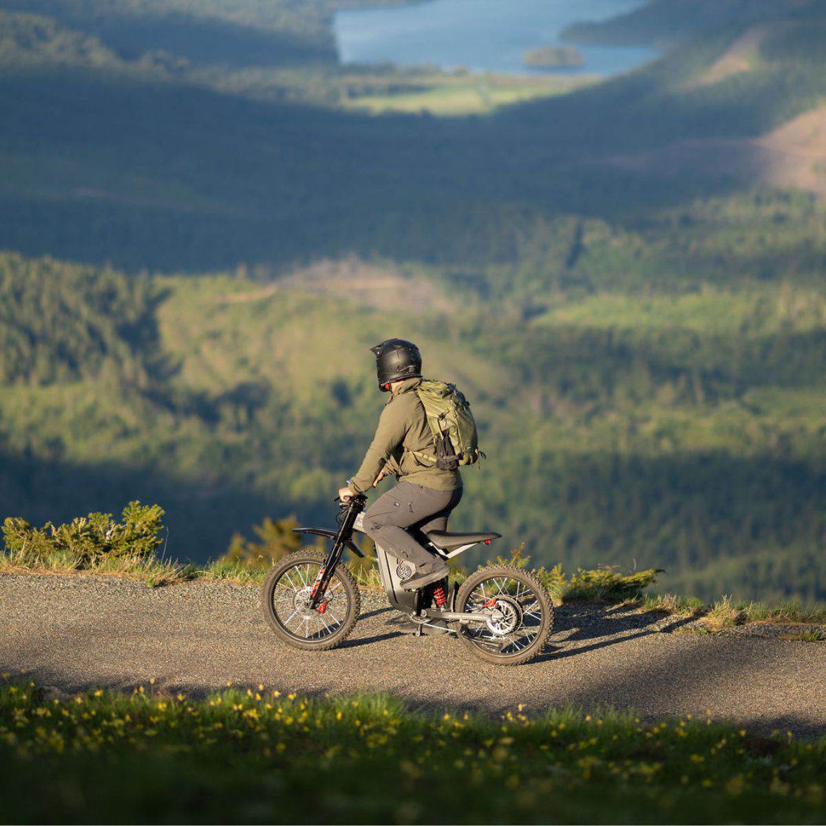 Freego USA X2 Pro All-Terrain Dirt eBike