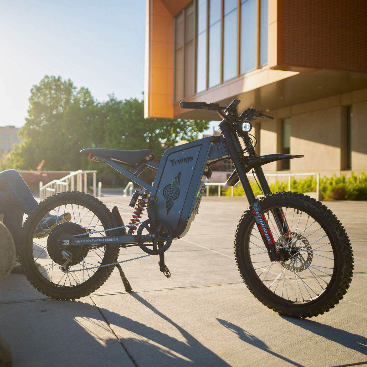 Freego USA X2 Pro All-Terrain Dirt eBike