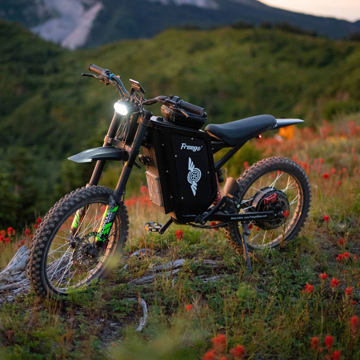 Freego USA All-Terrain Electric Dirt Bike with Pedals
